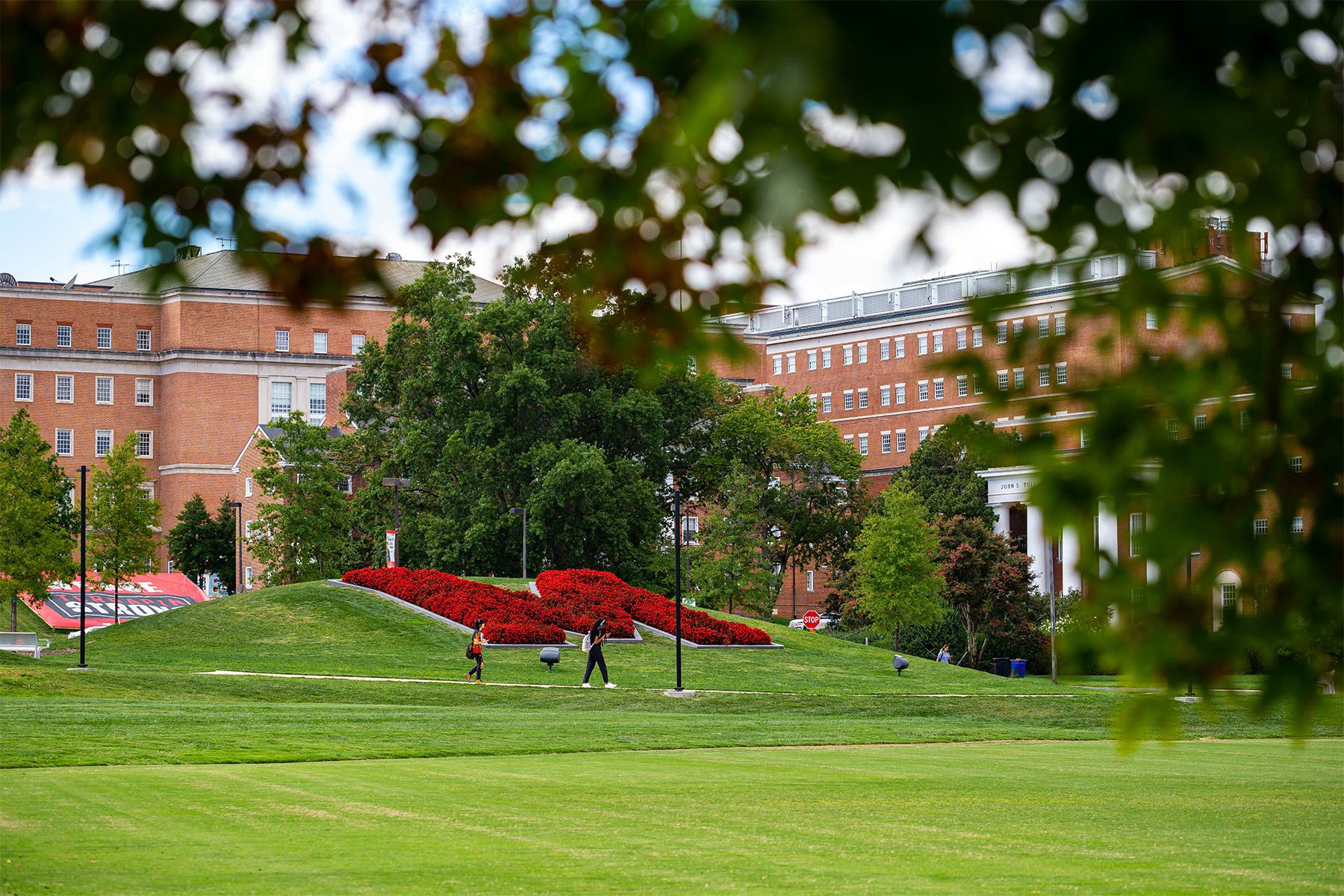 A large letter "M" filled with red flowers on a green hillside on the UMD campus