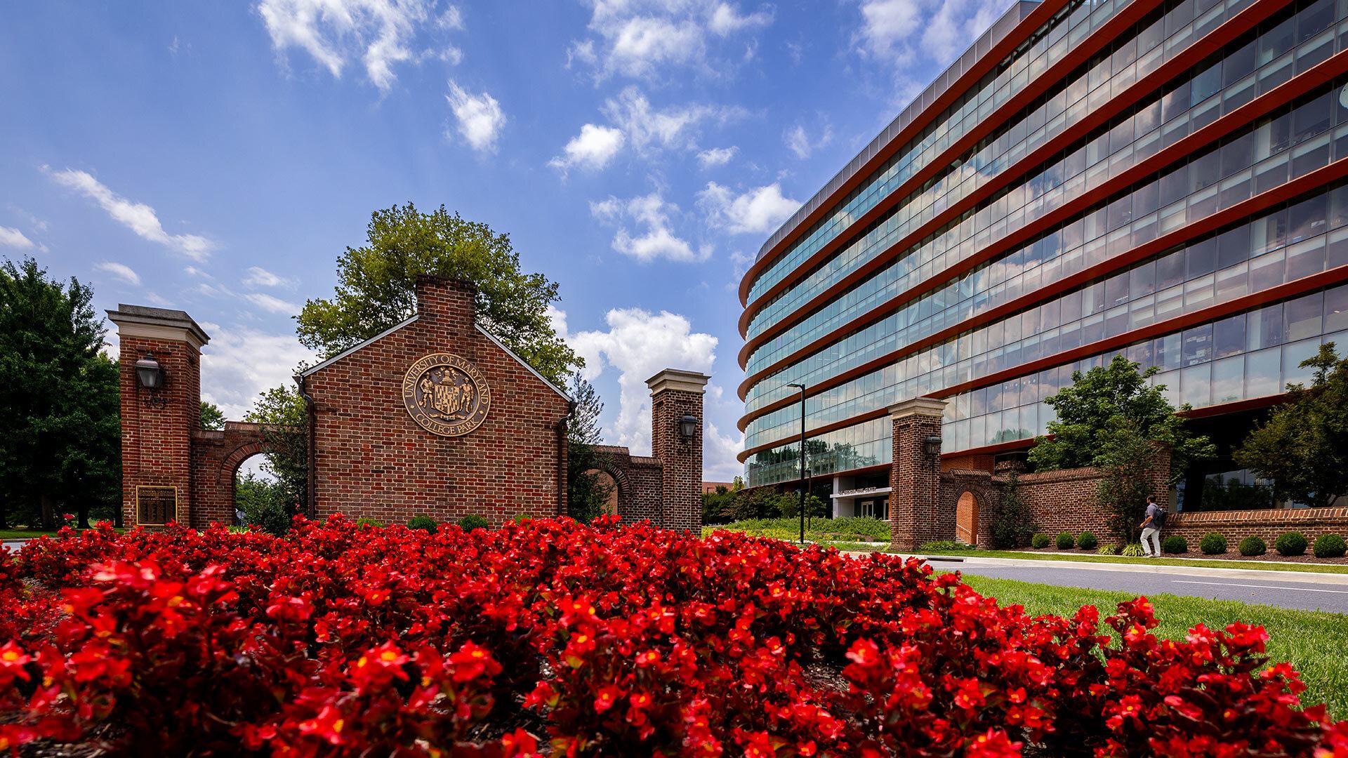 red flowers near UMD's North Gate, with the Iribe building at right
