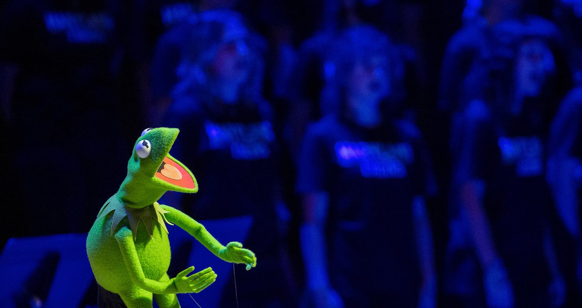 Kermit the Frong speaks on stage