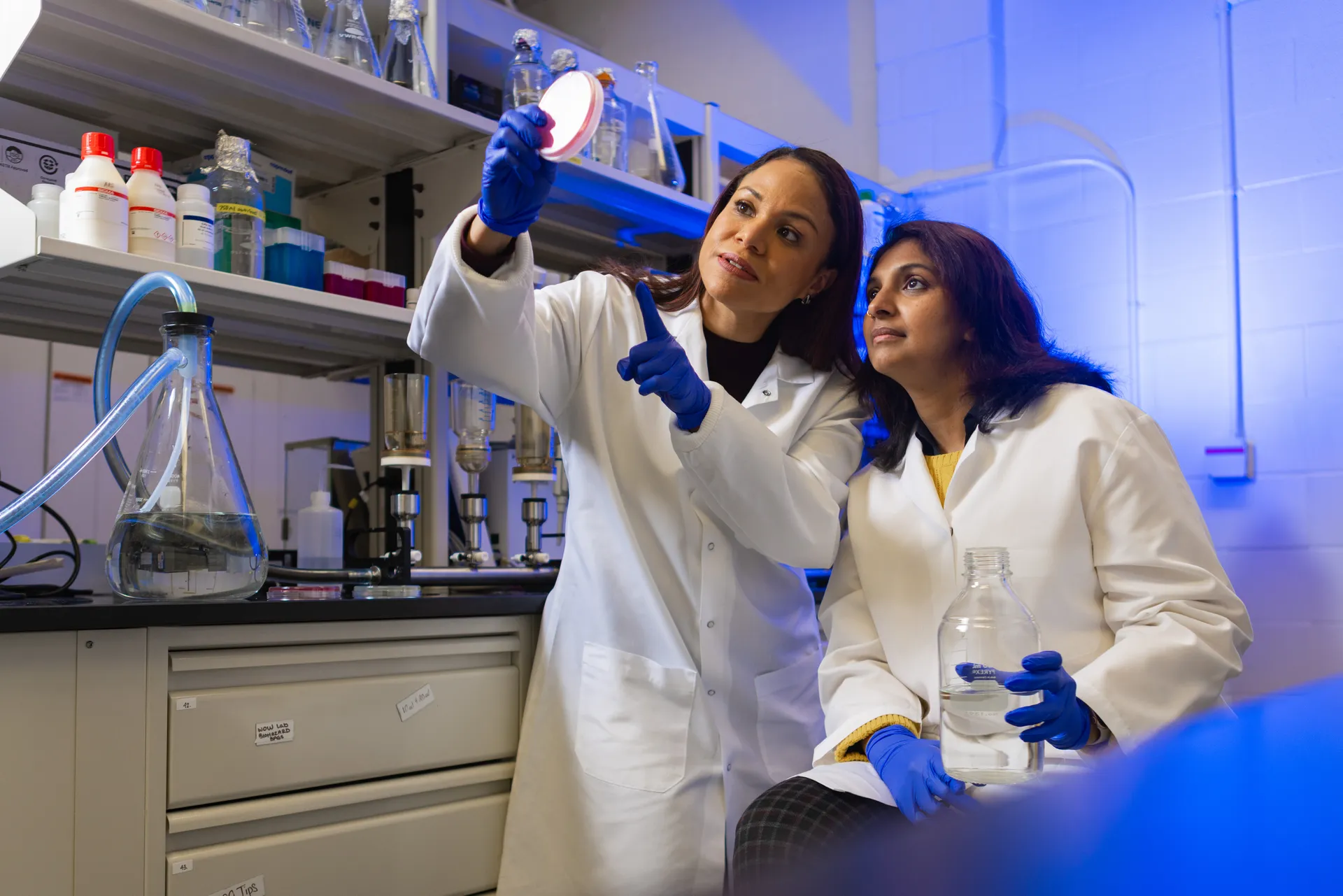 Safe Drinking WATER Study team members Leena Malayil and Rianna Murray hold a petri dish sample up to the light.