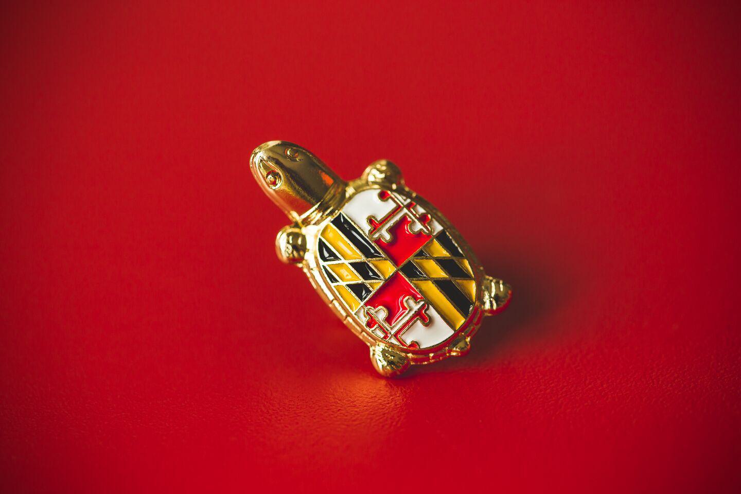 Turtle pin with Maryland flag
