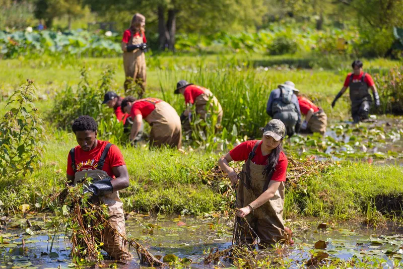 Students outside during a service day in marshy land, sifting through ponds.