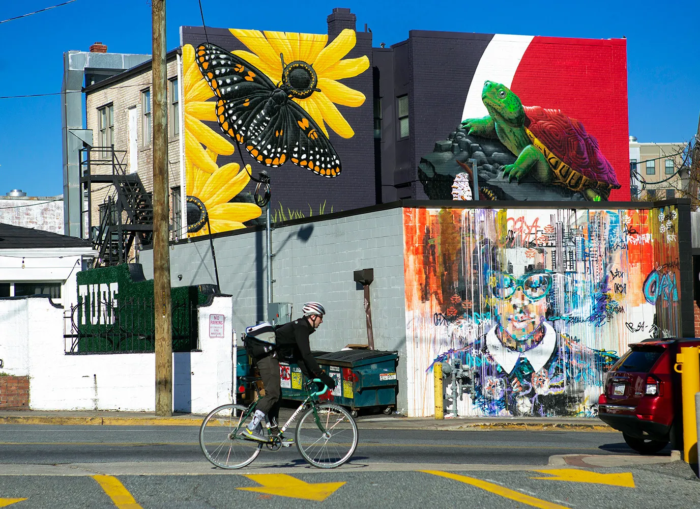 Painted murals of butterfly on yellow flowers, turtle, and young person. Biker riding in front. Cars in background.