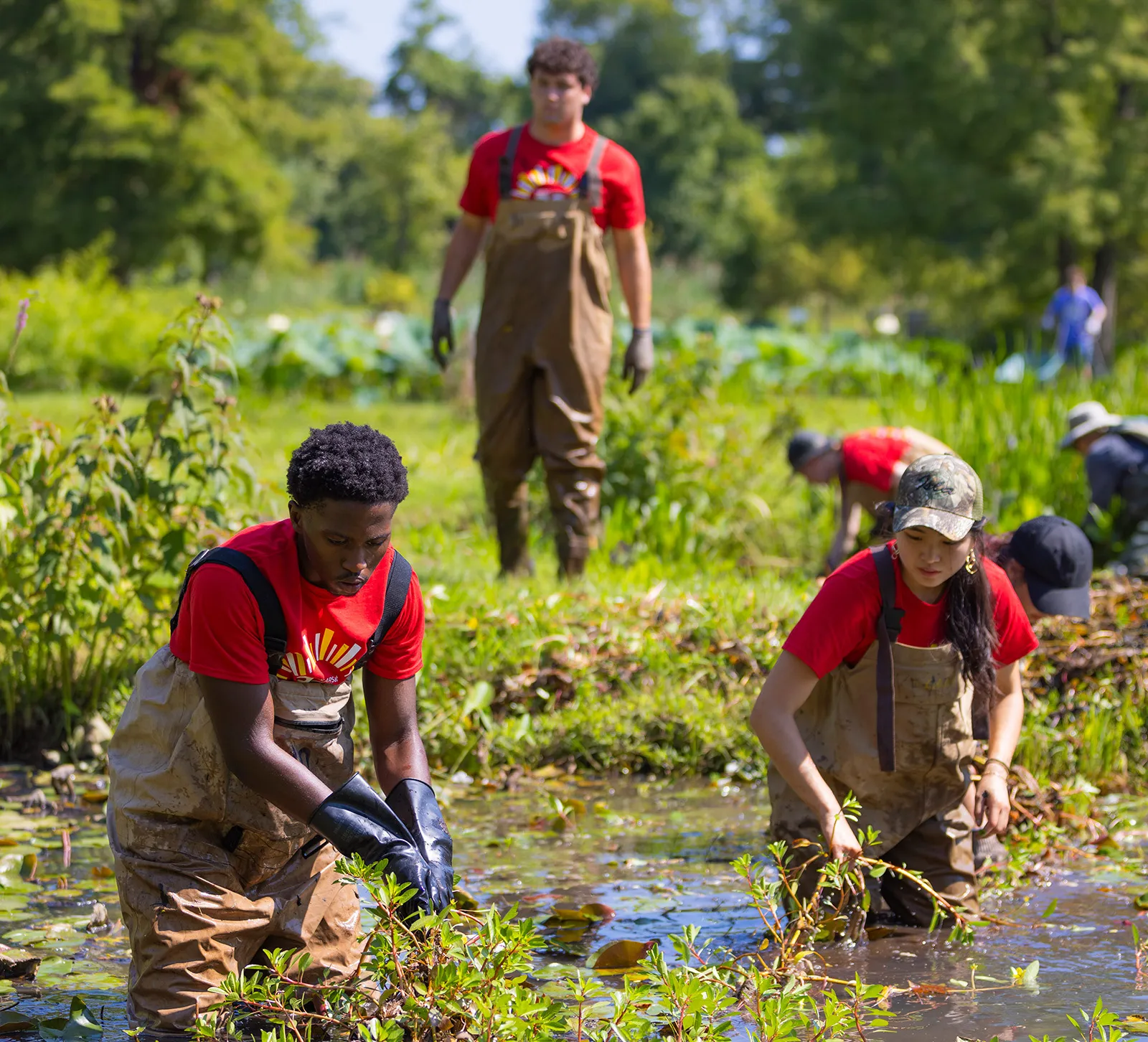 Students outside in ponds and marsh with gloves and overalls working