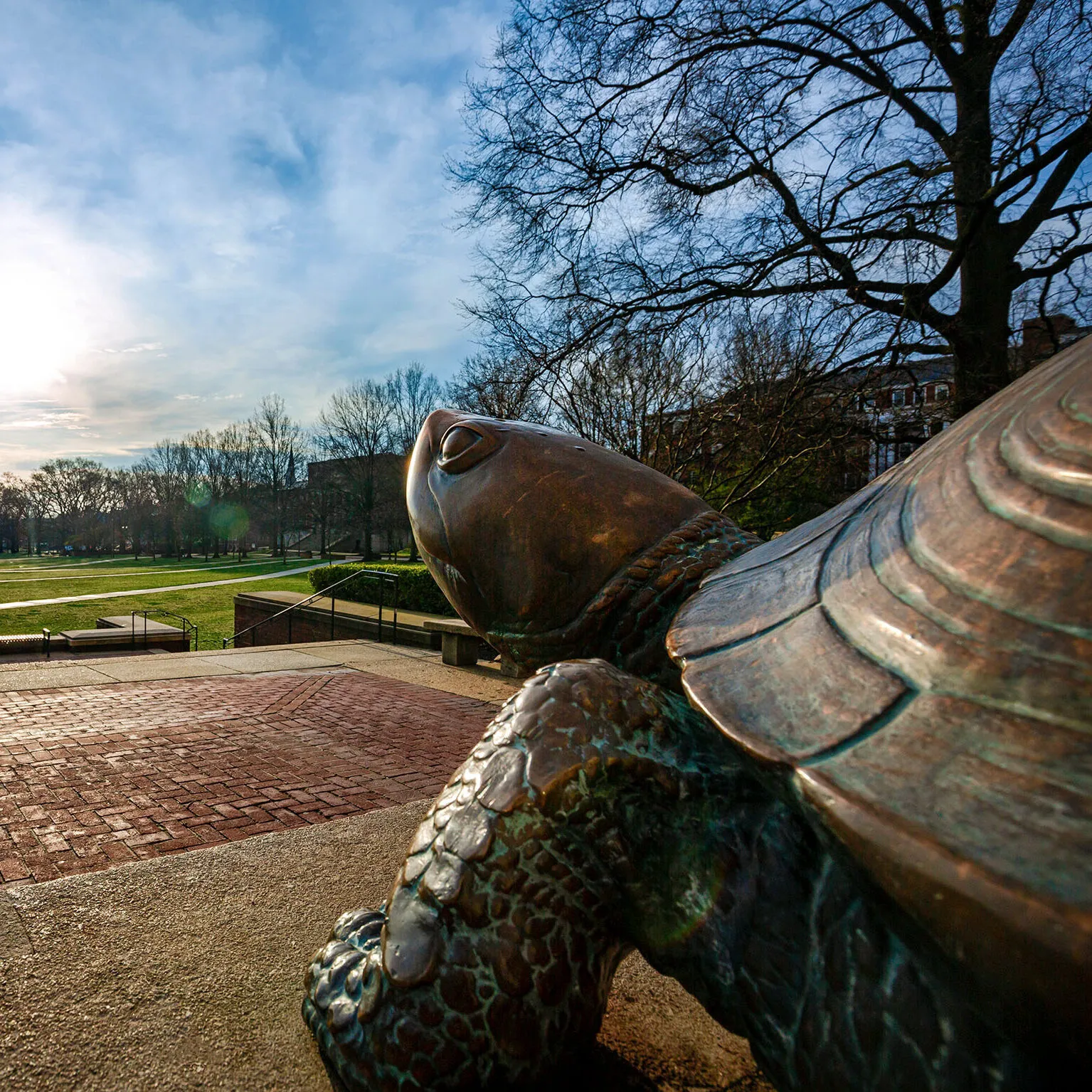Testudo statue in front of McKeldin Library overlooking the Mall just after sunrise.