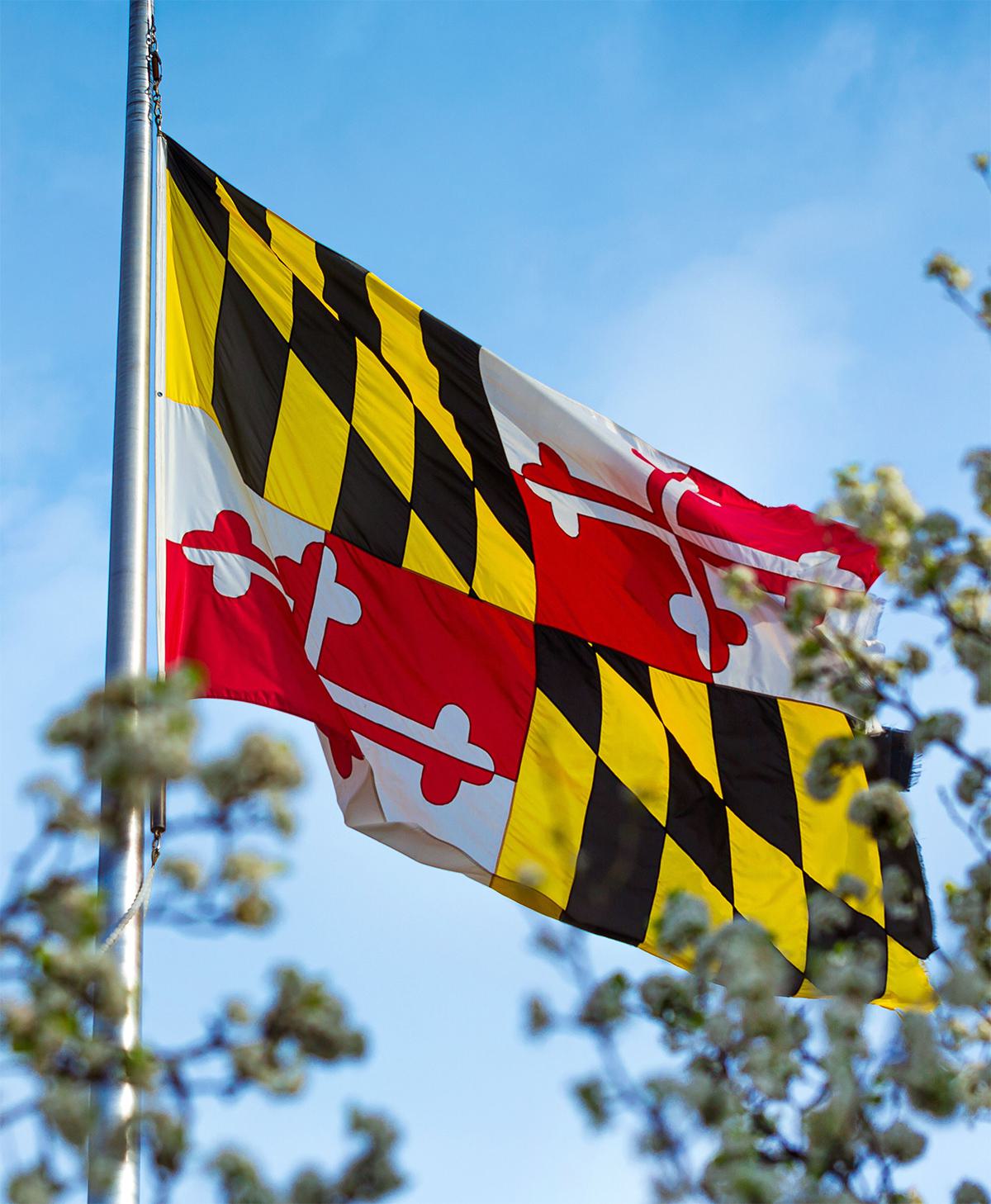 The Maryland state flag flying in the wind against a light blue sky