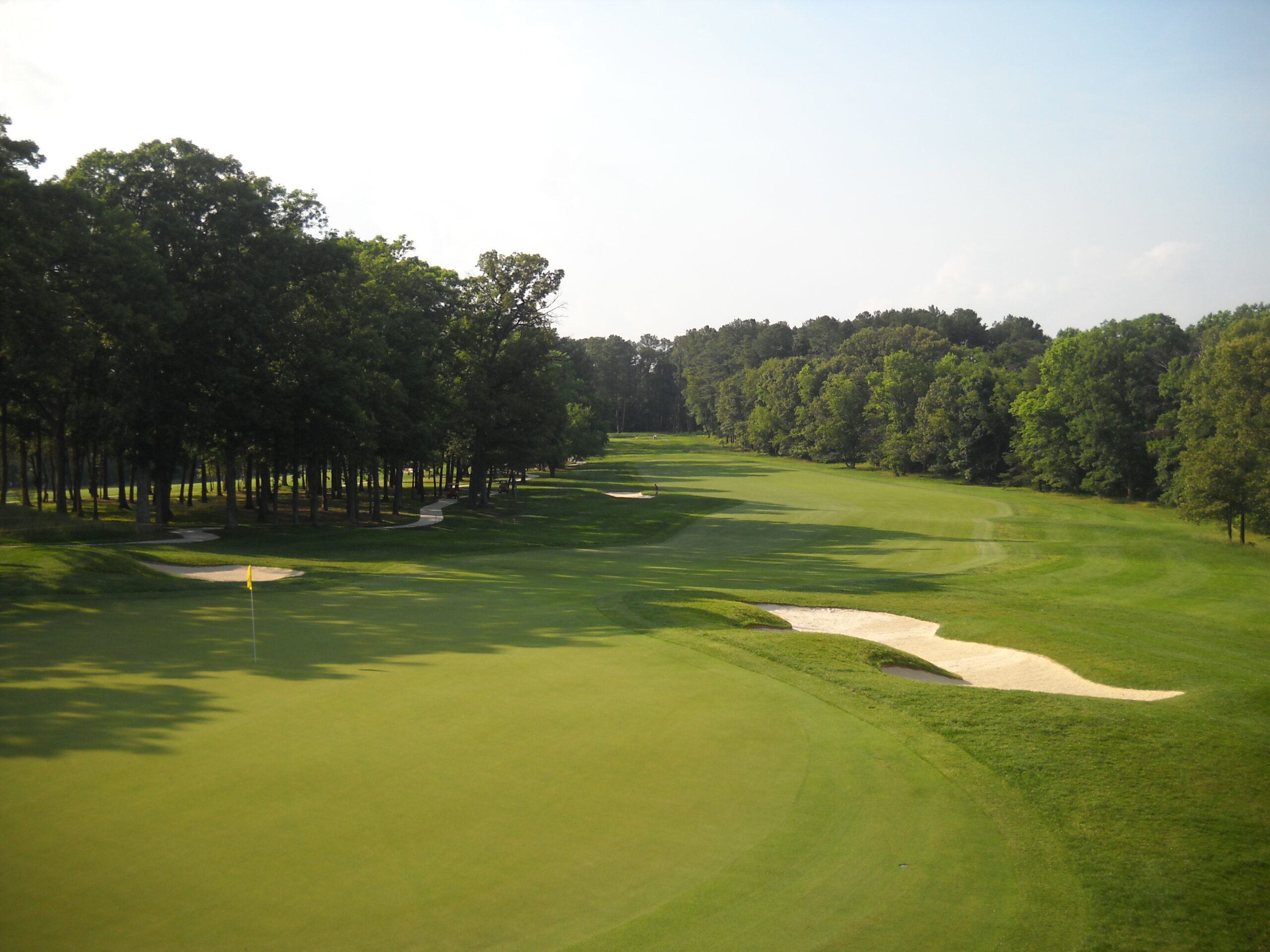 View of green and trees, sand on golf course