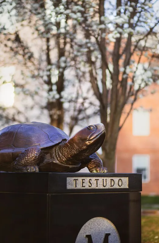 A bronze statue of a diamondback terrapin on top of a stone pedestal with the word "Testudo" engraved