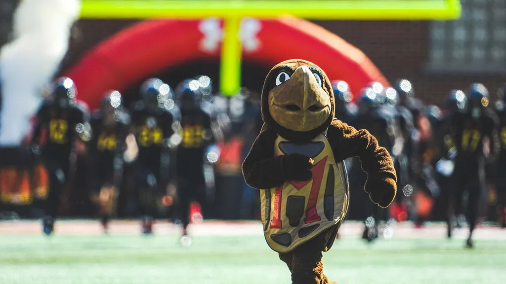 Testudo turtle mascot on a football field. Football players blurred in background